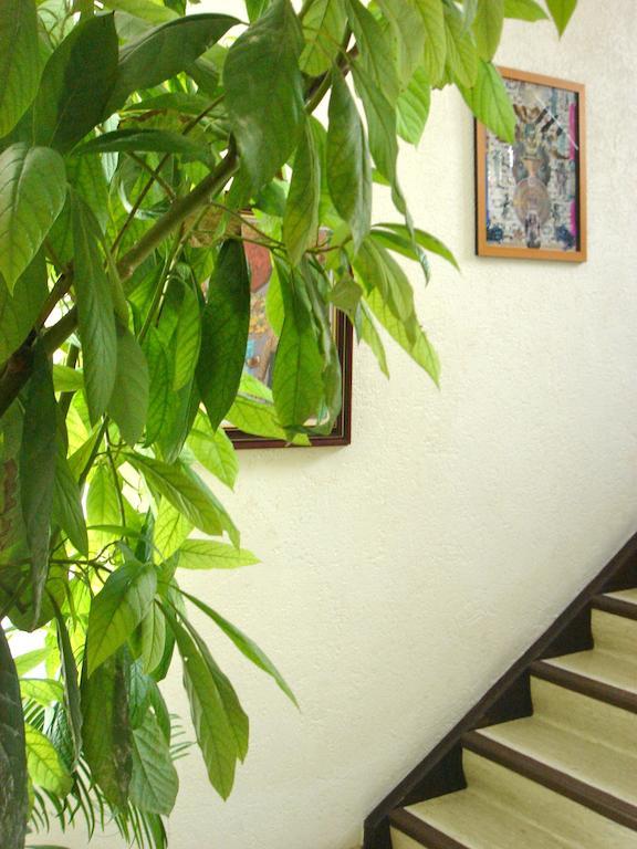 Dakini'S Bed & Breakfast Zürich Eksteriør bilde